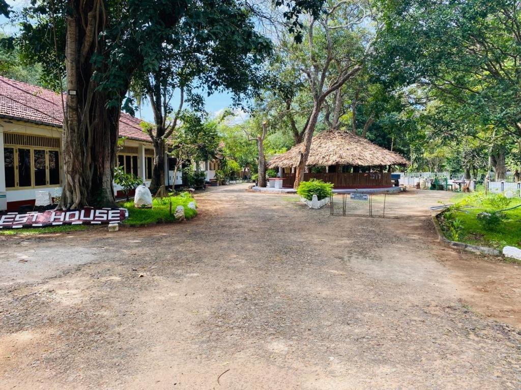 Hotel Resthouse Vavuniya Extérieur photo